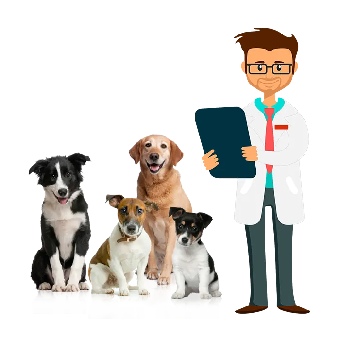 Clínica Veterinaria, el mundo digital al cuidado de las mascotas. Mascotas con un veterinario virtual.
